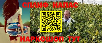 apvp Лесосибирск