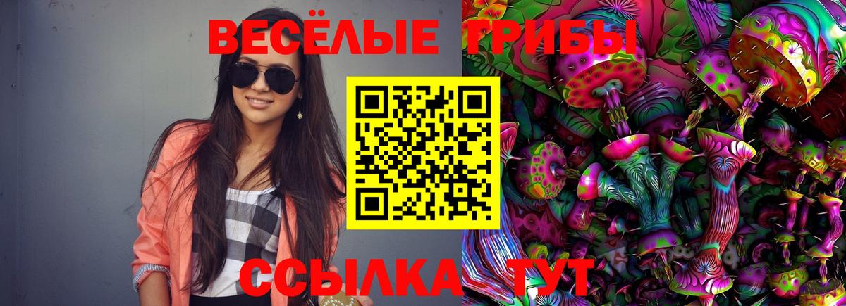 Псилоцибиновые грибы Psilocybe Избербаш